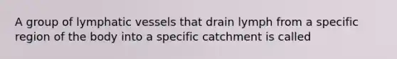 A group of lymphatic vessels that drain lymph from a specific region of the body into a specific catchment is called