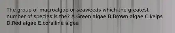 The group of macroalgae or seaweeds which the greatest number of species is the? A.Green algae B.Brown algae C.kelps D.Red algae E.coralline algea