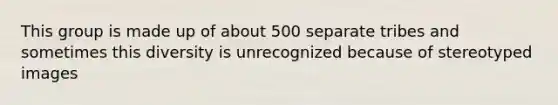 This group is made up of about 500 separate tribes and sometimes this diversity is unrecognized because of stereotyped images
