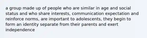 a group made up of people who are similar in age and social status and who share interests, communication expectation and reinforce norms, are important to adolescents, they begin to form an identity separate from their parents and exert independence