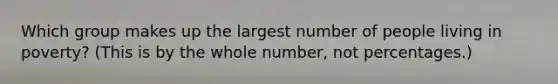 Which group makes up the largest number of people living in poverty? (This is by the whole number, not percentages.)