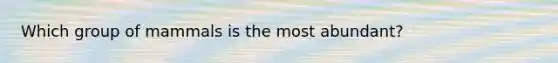 Which group of mammals is the most abundant?