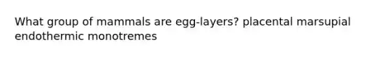 What group of mammals are egg-layers? placental marsupial endothermic monotremes