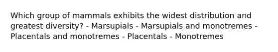 Which group of mammals exhibits the widest distribution and greatest diversity? - Marsupials - Marsupials and monotremes - Placentals and monotremes - Placentals - Monotremes