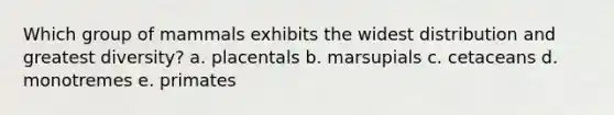 Which group of mammals exhibits the widest distribution and greatest diversity?​ a. ​placentals b. ​marsupials c. ​cetaceans d. monotremes e. ​primates