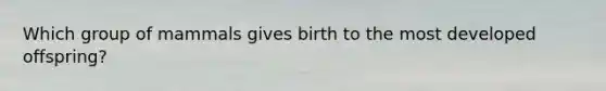 Which group of mammals gives birth to the most developed offspring?