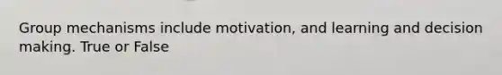 Group mechanisms include motivation, and learning and decision making. True or False