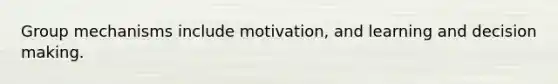 Group mechanisms include motivation, and learning and decision making.