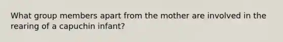 What group members apart from the mother are involved in the rearing of a capuchin infant?
