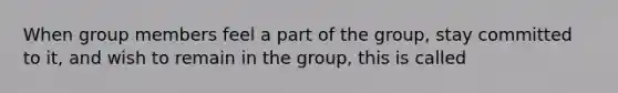 When group members feel a part of the group, stay committed to it, and wish to remain in the group, this is called