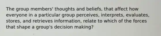 The group members' thoughts and beliefs, that affect how everyone in a particular group perceives, interprets, evaluates, stores, and retrieves information, relate to which of the forces that shape a group's decision making?