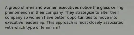 A group of men and women executives notice the glass ceiling phenomenon in their company. They strategize to alter their company so women have better opportunities to move into executive leadership. This approach is most closely associated with which type of feminism?