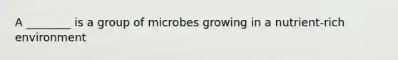 A ________ is a group of microbes growing in a nutrient-rich environment