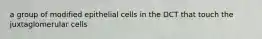 a group of modified epithelial cells in the DCT that touch the juxtaglomerular cells