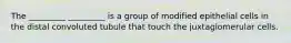 The _________ _________ is a group of modified epithelial cells in the distal convoluted tubule that touch the juxtaglomerular cells.