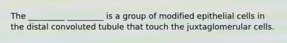 The _________ _________ is a group of modified epithelial cells in the distal convoluted tubule that touch the juxtaglomerular cells.