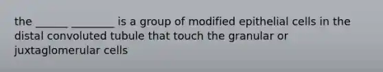 the ______ ________ is a group of modified epithelial cells in the distal convoluted tubule that touch the granular or juxtaglomerular cells