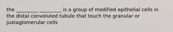 the _________ _________ is a group of modified epithelial cells in the distal convoluted tubule that touch the granular or juxtaglomerular cells