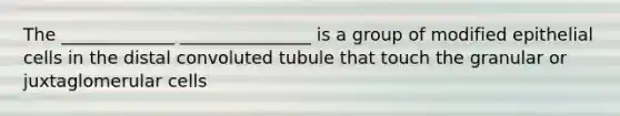 The _____________ _______________ is a group of modified epithelial cells in the distal convoluted tubule that touch the granular or juxtaglomerular cells