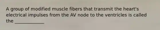 A group of modified muscle fibers that transmit the heart's electrical impulses from the AV node to the ventricles is called the _____________