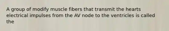 A group of modify muscle fibers that transmit the hearts electrical impulses from the AV node to the ventricles is called the