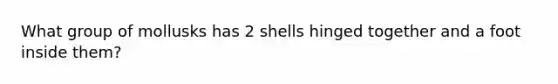 What group of mollusks has 2 shells hinged together and a foot inside them?