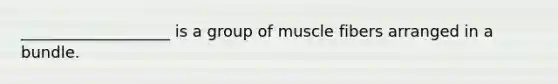 ___________________ is a group of muscle fibers arranged in a bundle.