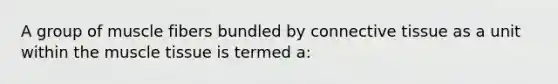 A group of muscle fibers bundled by connective tissue as a unit within the muscle tissue is termed a: