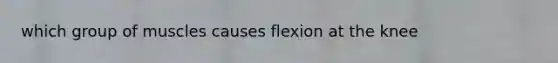 which group of muscles causes flexion at the knee