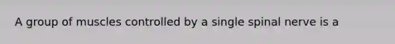 A group of muscles controlled by a single spinal nerve is a