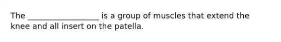 The __________________ is a group of muscles that extend the knee and all insert on the patella.