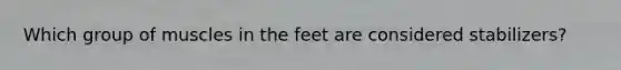 Which group of muscles in the feet are considered stabilizers?