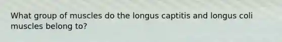 What group of muscles do the longus captitis and longus coli muscles belong to?