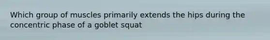 Which group of muscles primarily extends the hips during the concentric phase of a goblet squat