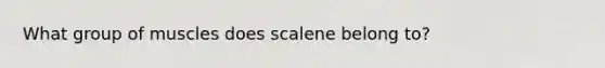 What group of muscles does scalene belong to?