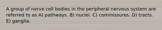 A group of nerve cell bodies in the peripheral nervous system are referred to as A) pathways. B) nuclei. C) commissures. D) tracts. E) ganglia.