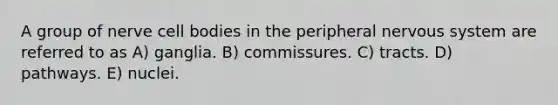 A group of nerve cell bodies in the peripheral nervous system are referred to as A) ganglia. B) commissures. C) tracts. D) pathways. E) nuclei.