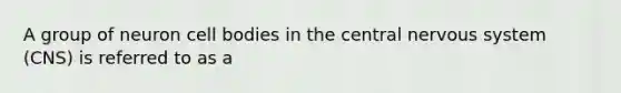 A group of neuron cell bodies in the central nervous system (CNS) is referred to as a