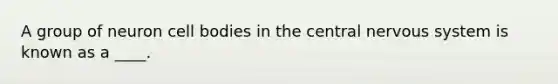 A group of neuron cell bodies in the central nervous system is known as a ____.