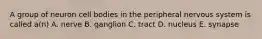 A group of neuron cell bodies in the peripheral nervous system is called a(n) A. nerve B. ganglion C. tract D. nucleus E. synapse