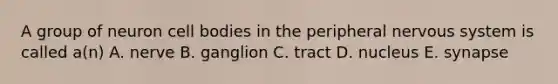 A group of neuron cell bodies in the peripheral nervous system is called a(n) A. nerve B. ganglion C. tract D. nucleus E. synapse