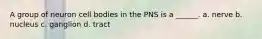 A group of neuron cell bodies in the PNS is a ______. a. nerve b. nucleus c. ganglion d. tract