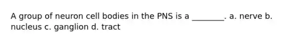 A group of neuron cell bodies in the PNS is a ________. a. nerve b. nucleus c. ganglion d. tract