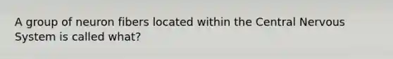 A group of neuron fibers located within the Central Nervous System is called what?