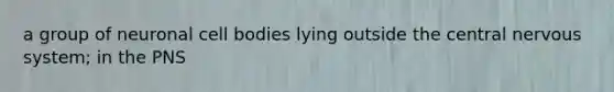 a group of neuronal cell bodies lying outside the central nervous system; in the PNS