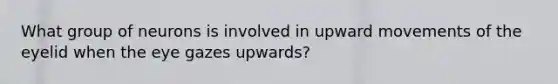 What group of neurons is involved in upward movements of the eyelid when the eye gazes upwards?