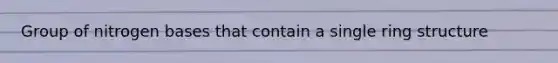 Group of nitrogen bases that contain a single ring structure