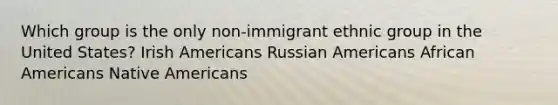 Which group is the only non-immigrant ethnic group in the United States? Irish Americans Russian Americans <a href='https://www.questionai.com/knowledge/kktT1tbvGH-african-americans' class='anchor-knowledge'>african americans</a> <a href='https://www.questionai.com/knowledge/k3QII3MXja-native-americans' class='anchor-knowledge'>native americans</a>