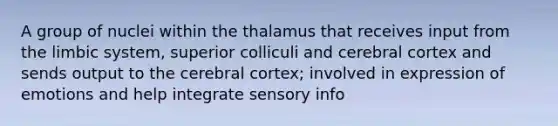 A group of nuclei within the thalamus that receives input from the limbic system, superior colliculi and cerebral cortex and sends output to the cerebral cortex; involved in expression of emotions and help integrate sensory info