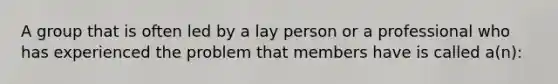 A group that is often led by a lay person or a professional who has experienced the problem that members have is called a(n):